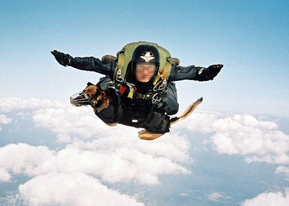 spanish sof parachute free fall norway excercise 588x420 Spanish SF soldiers and their dogs take part in tandem parachute freefall