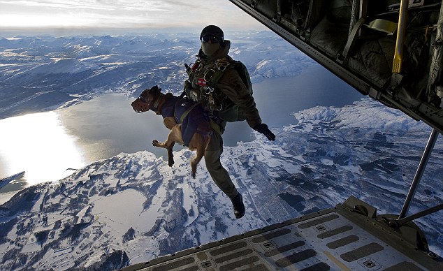 spanish sof parachute free fall Spanish SF soldiers and their dogs take part in tandem parachute freefall