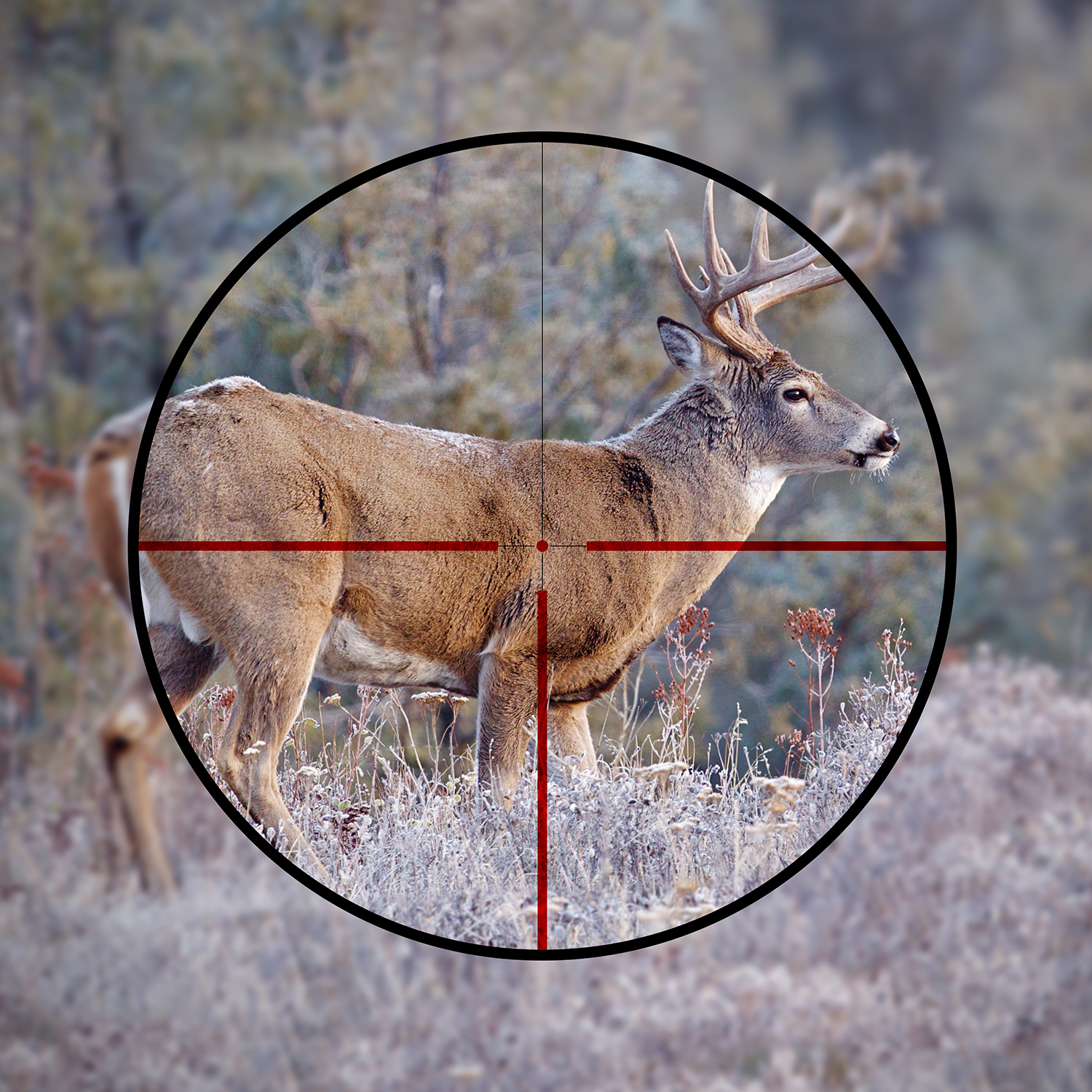 Meopta USA Introduces New Dichroic Reticle Technology with Battery-Free ...