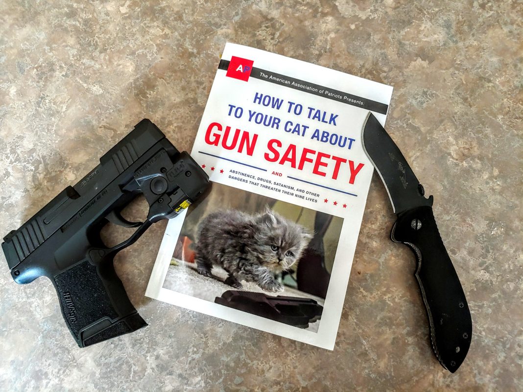How To Talk To Your Cat About Gun Safety Book Review GAT Daily