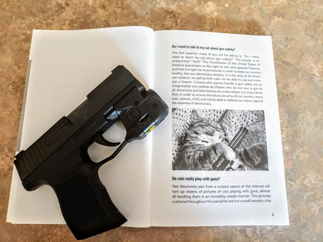 How To Talk To Your Cat About Gun Safety Book Review GAT Daily