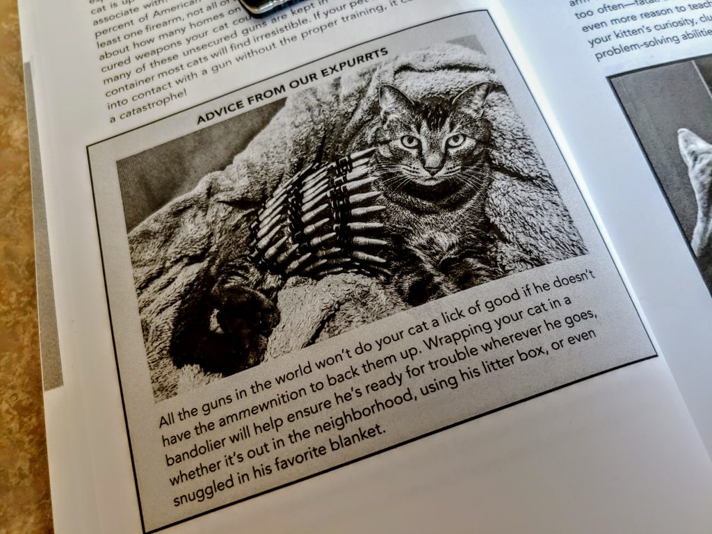 Basic White Girl For Gun Rights - Teach a cat to read, and you'll have a  smart cat. Teach a cat to read and shoot, and you'll have a guard cat.💪🏻