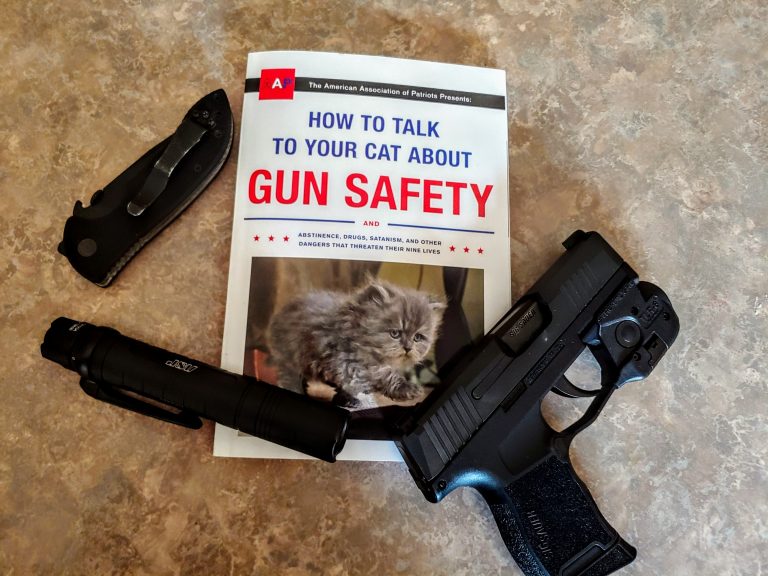 How To Talk To Your Cat About Gun Safety Book Review Gat Daily