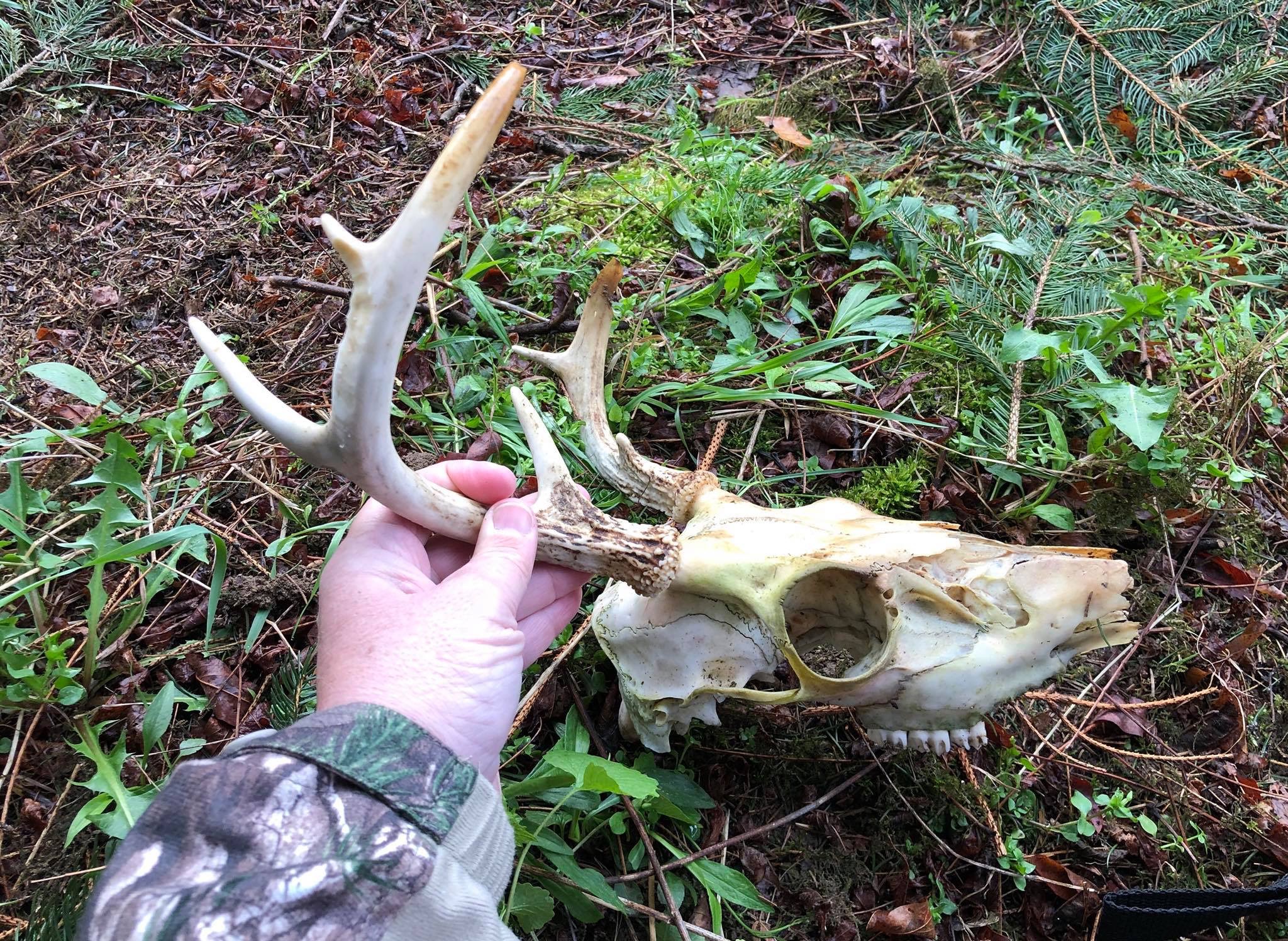 shed-hunting-gat-daily-guns-ammo-tactical
