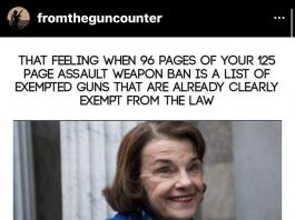from the gun counter IG on feinsteins assault weapon ban