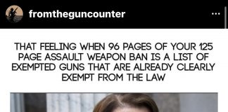 from the gun counter IG on feinsteins assault weapon ban