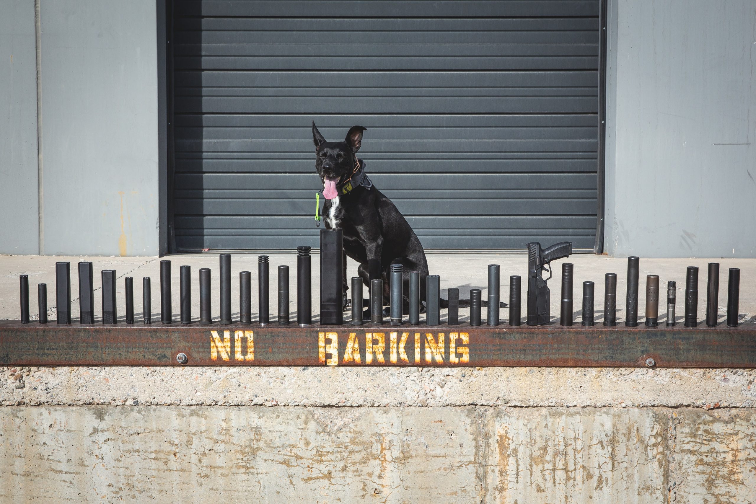 Silencer Co is Dog Friendly