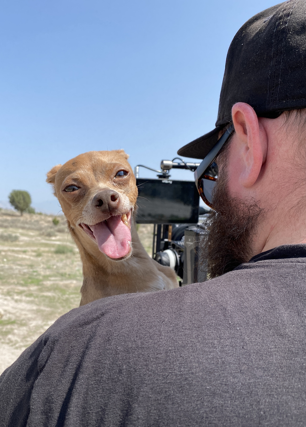 Dogs of SilencerCo