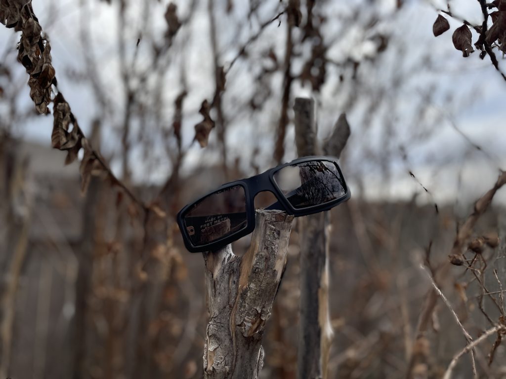Speed Demon glasses sitting in a dead tree