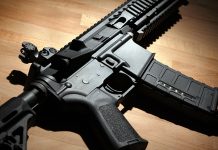 Commonly Owned AR-15