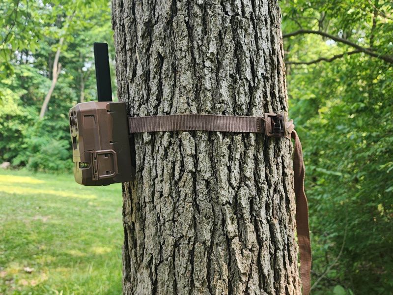 edge camera on a tree with strap.