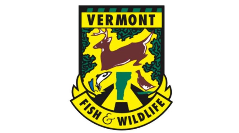 The Vermont Fish Hunt Season The Vermont Fish Hunt Season