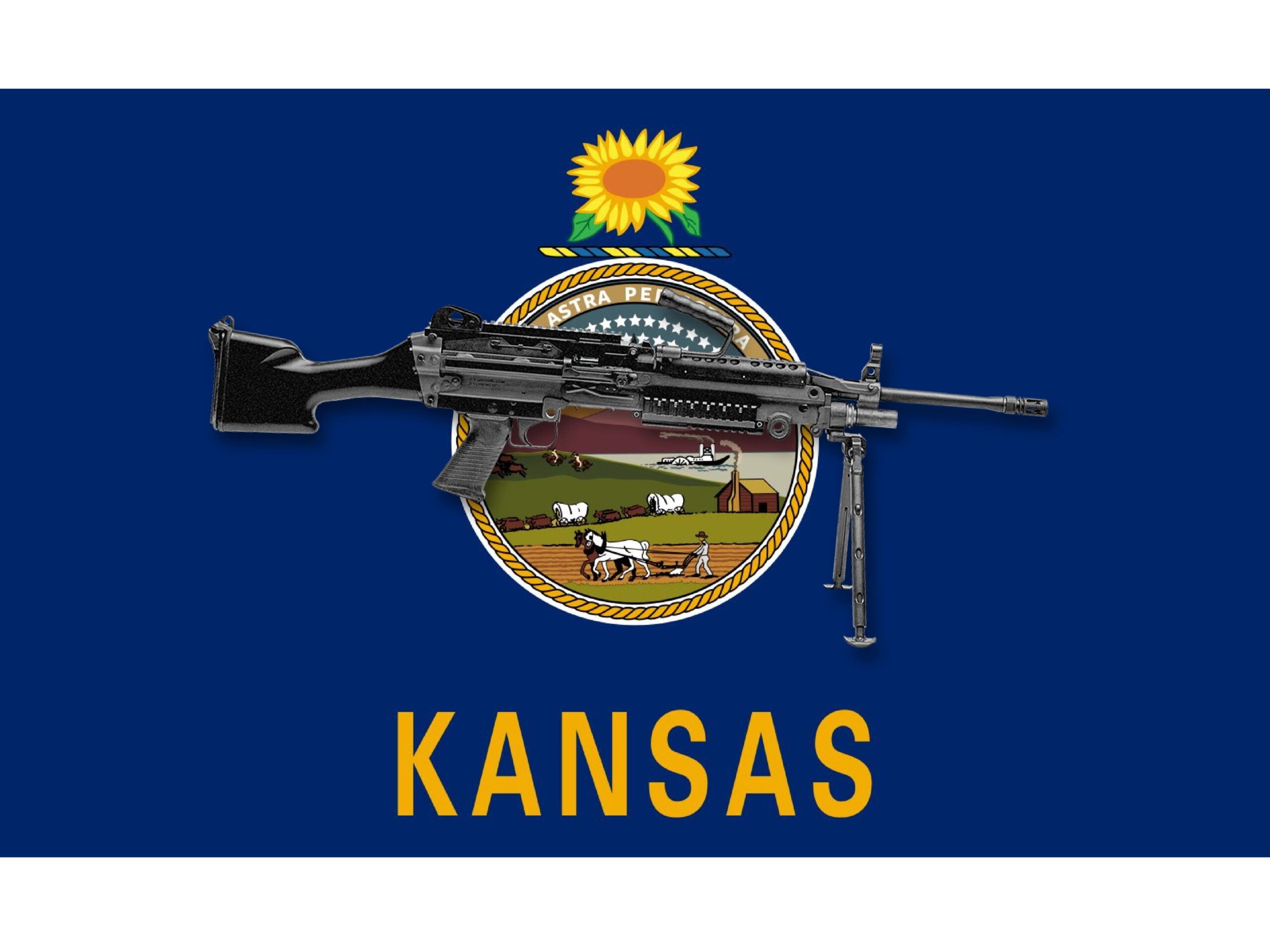 The Kansas Machine Gun Case