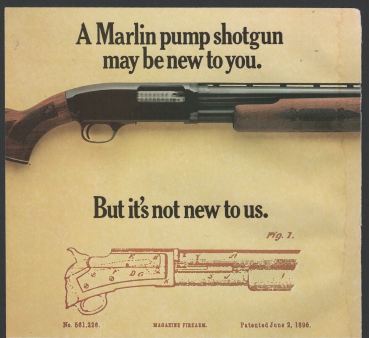 Marlin Shotguns – Oft Forgotten Pump guns