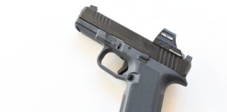 Ruger RXM Pistol