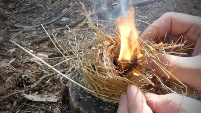 Three Underutilized Natural Tinders