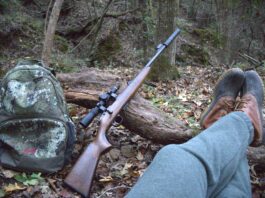cz 457 scout rifle with silencerco switchback suppressor