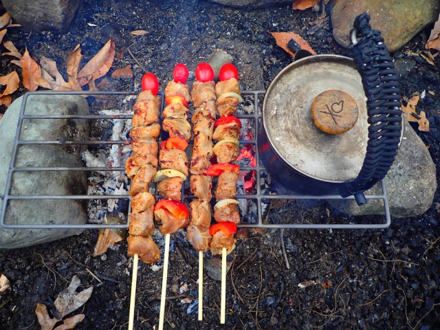What’s Cooking?: Titanium Camp Grills That Rock!