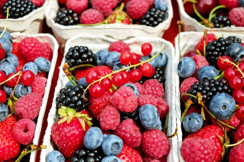 Food storage - fresh food