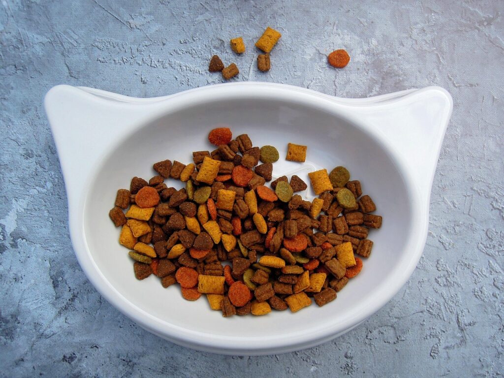 Pet bug out - food