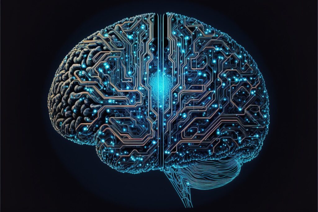 Fight or flight - brain