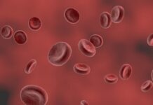Bloodborne pathogens