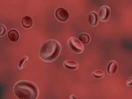 Bloodborne pathogens