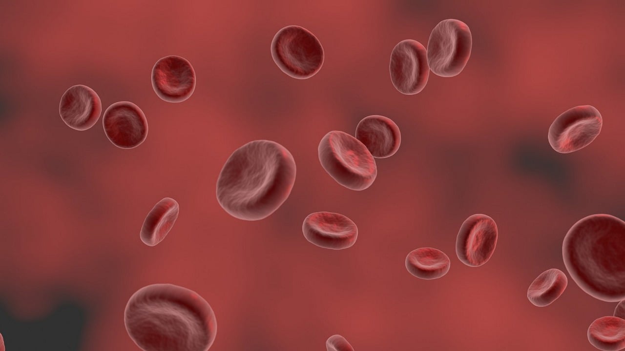 Bloodborne Pathogens – Clean Up After Accidents Safely