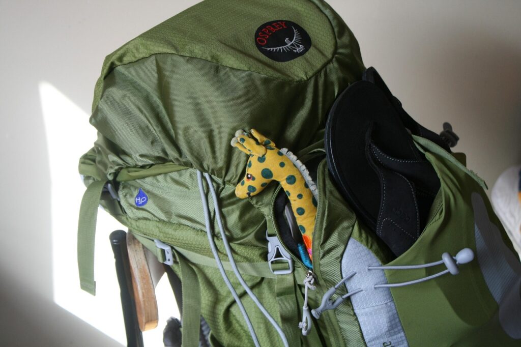 Gear organization - backpack