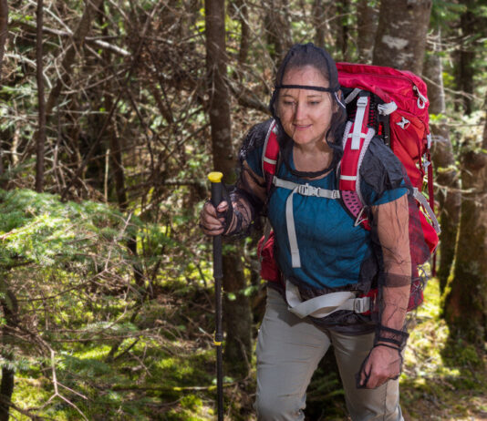 Barriers to Protect Your Skin from Insects’ Bloodthirsty Attacks
