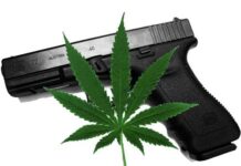 Supreme Court To Hear Challenge To Law Banning Firearms For Marijuana Users