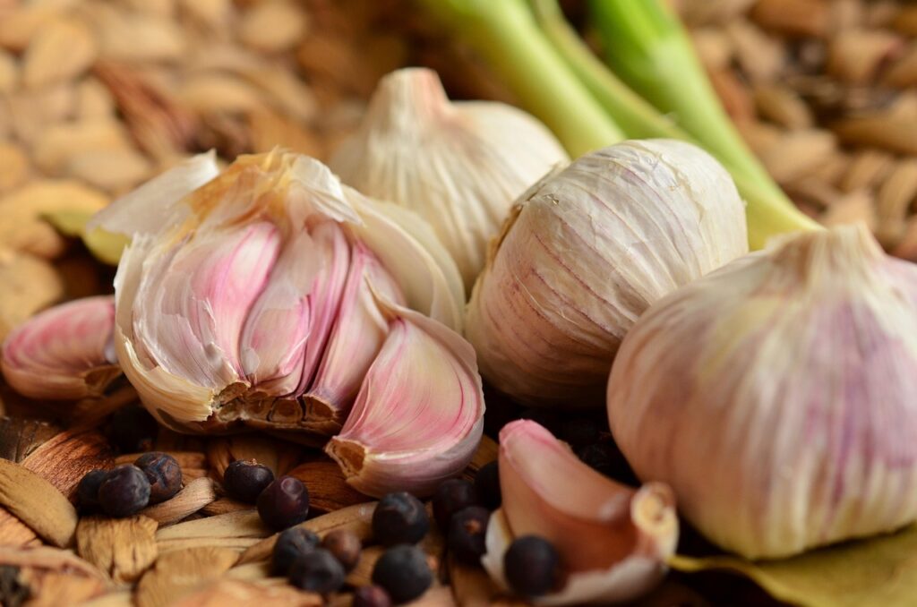 Growing Garlic - cloves