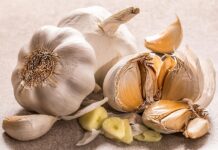 Growing Garlic