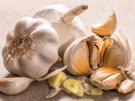 Growing Garlic