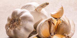 Growing Garlic