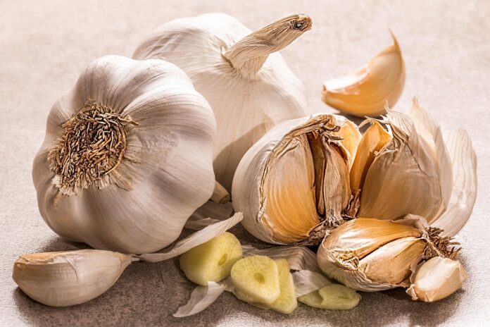 garlic-3419544_1280 Growing Garlic
