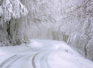 Conserving Your Body Heat – Keep Warm and Stay Alive Conserve Body Heat
