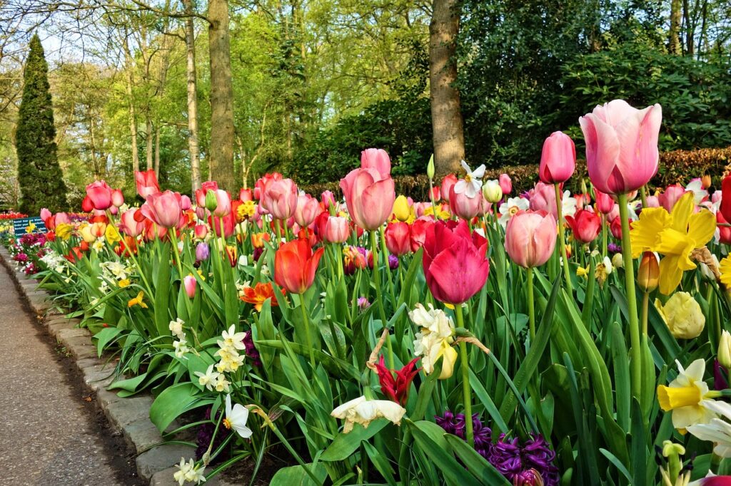 Edible landscaping - flower bed