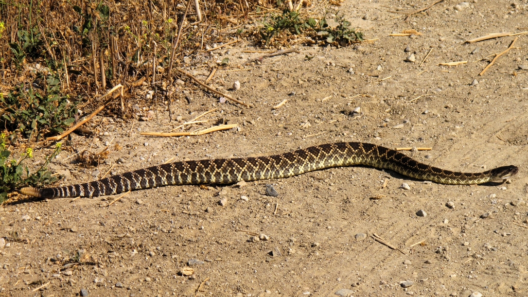 Survival Fallacies: Separating Fact from Fiction Survival Fallacies: Separating Fact from Fiction