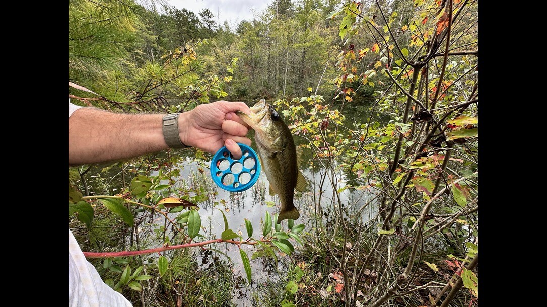 Enjoy Surf and Turf with Compact Fishing and Hunting Gear Enjoy Surf and Turf with Compact Fishing and Hunting Gear